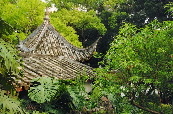 Chinesisches Dach in Bäumen — Stockfoto