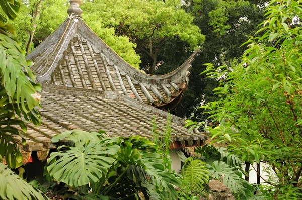 Chinese roof  in trees — Stock Photo, Image