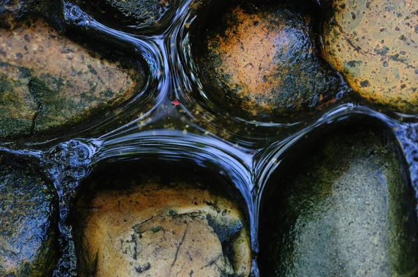 stock image Rocks and water