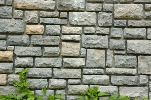 stock image Stone wall and green grass