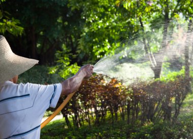 Watering garden with hand hose clipart