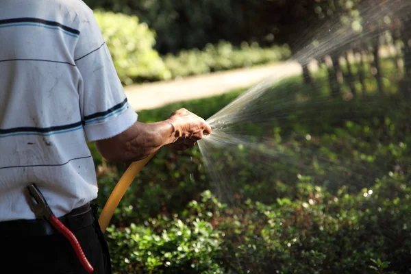 Watering garden with hand hose — Stock Photo, Image