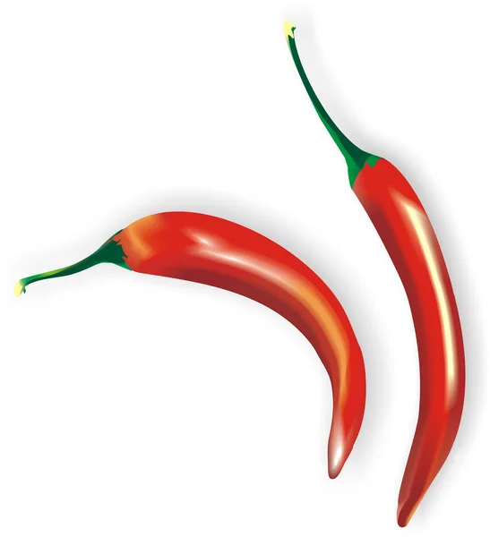 stock image Two burning pepper