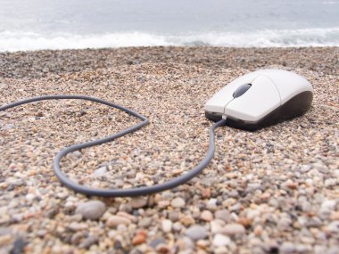 The computer mouse on a sea coast clipart