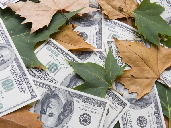 Αμερικανικά δολάρια και Φθινοπωρινά φύλλα — Φωτογραφία Αρχείου