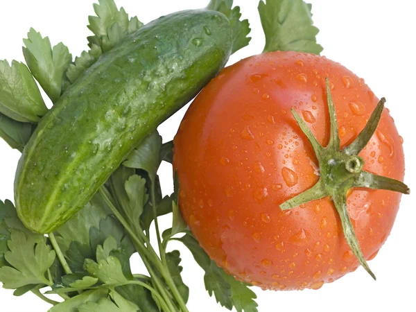 Salad sayuran — Stok Foto