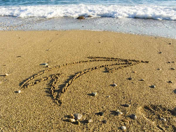 Flèche sur sable marin humide — Photo