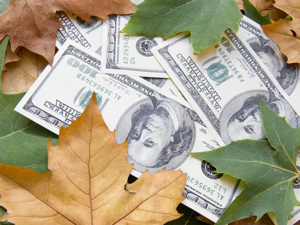 Dólares americanos y hojas de otoño — Foto de Stock