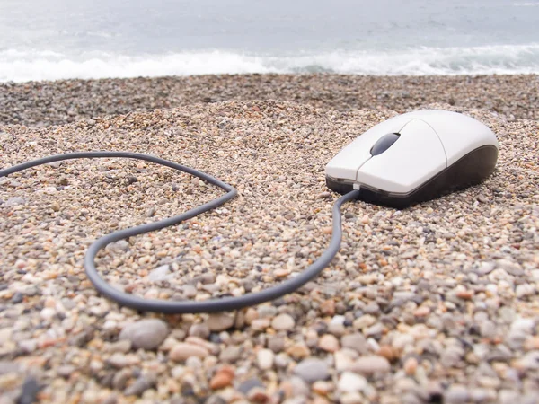 Deniz kıyısında ve bilgisayar fare — Stok fotoğraf