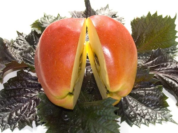 Dwa pół jabłka — Zdjęcie stockowe