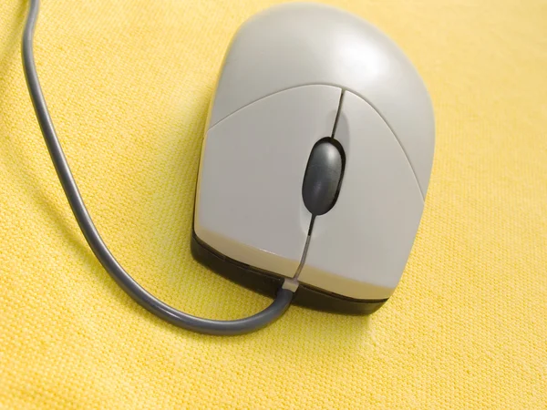 O rato de computador — Fotografia de Stock