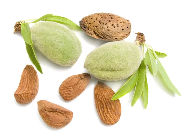 Young almonds — Stock Photo, Image