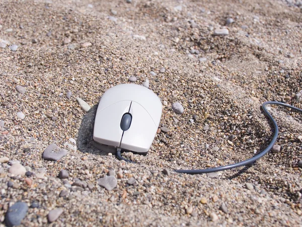 La souris d'ordinateur — Photo