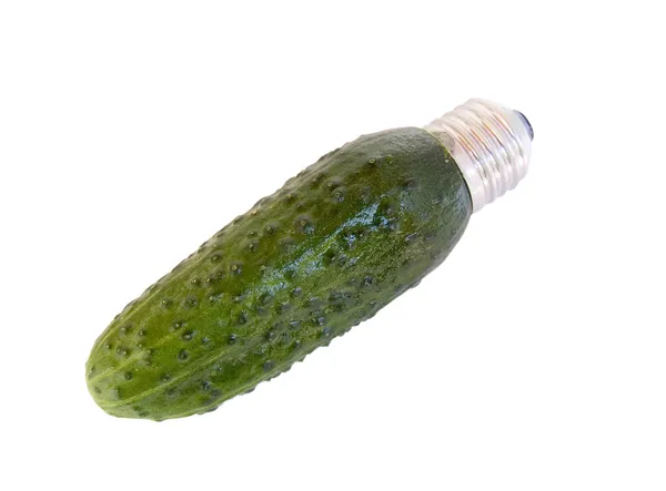 Green cucumber - an electric lamp — Stock Photo, Image