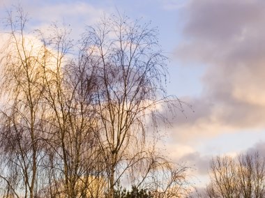 Fiery bright clouds in the sky clipart