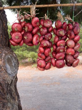 Kırmızı soğan