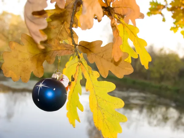 stock image Rehearsal of Christmas