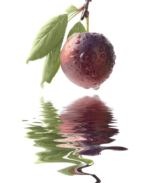 Fruits ripe violet sweet plums — Stock Photo, Image