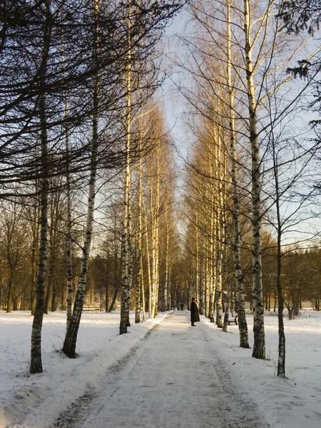 Zimą droga — Zdjęcie stockowe