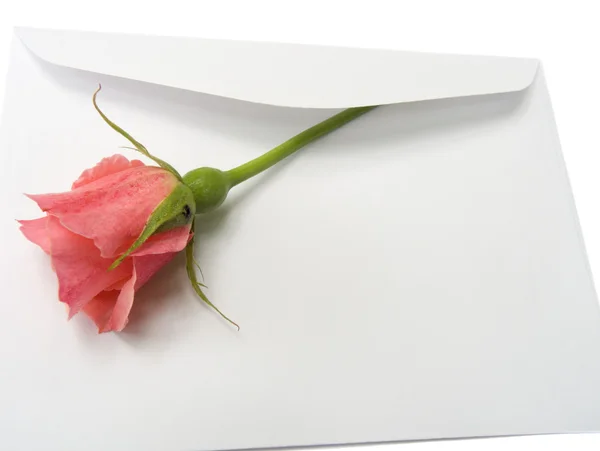 一朵玫瑰的信封 — 图库照片