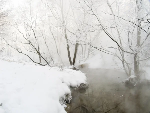 Dia gelado com o rio — Fotografia de Stock