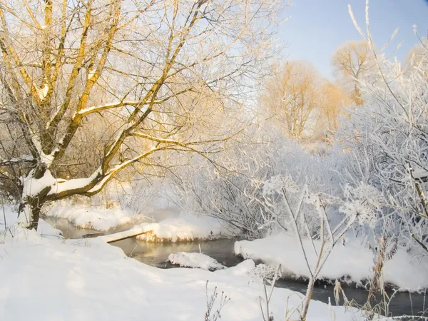 강이 흐르는 겨울 풍경 — 스톡 사진