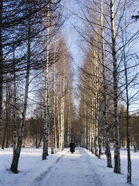 Winter manier — Stockfoto