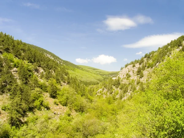 stock image Canyon with the mountain river