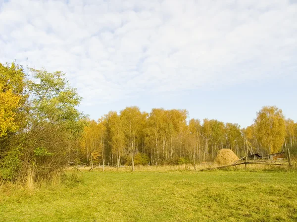 Осінній пейзаж зі стовбуром сіна — стокове фото