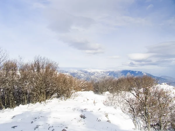 조용한 아침 겨울 산 풍경 — 스톡 사진