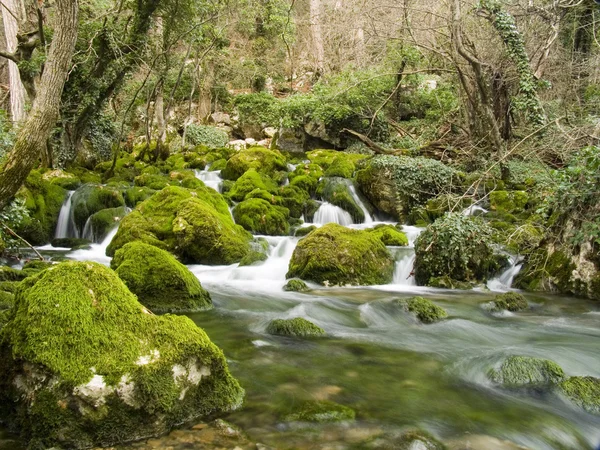 Cascate sul piccolo fiume di montagna — Foto Stock