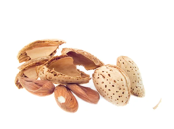 Nueces de almendra en una cáscara —  Fotos de Stock