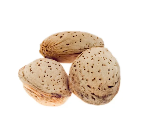 Three almond nuts in a shell. — Stock Photo, Image
