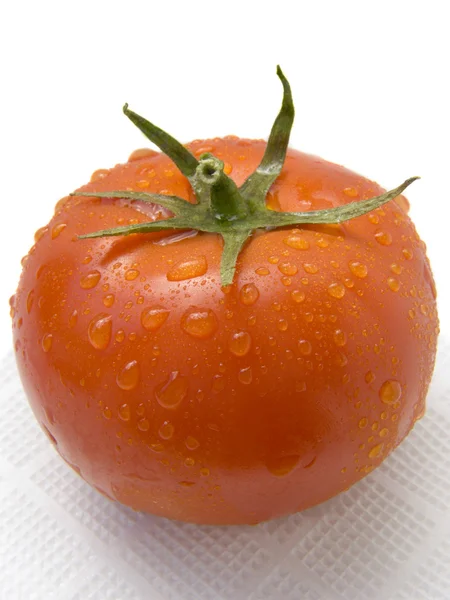 Färsk mogen enda tomat — Stockfoto