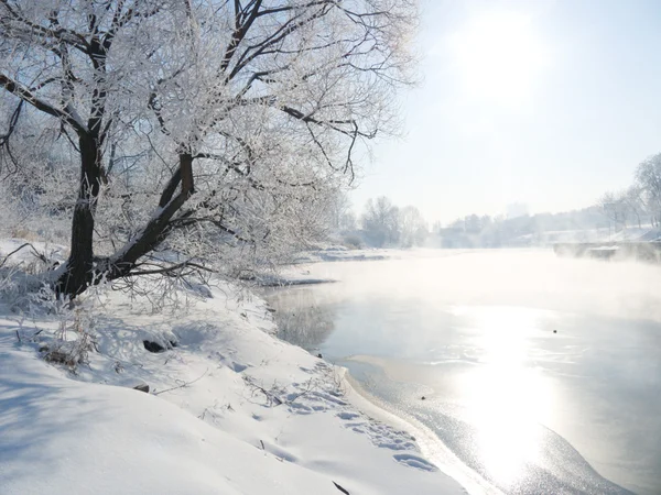 Paisagem de inverno com o rio — Fotografia de Stock