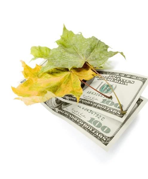 Leaves and dollars — Stock Photo, Image