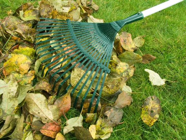 Limpeza de folhas de outono — Fotografia de Stock