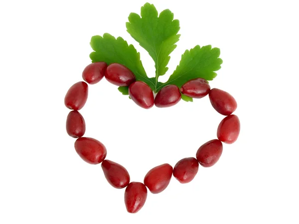 赤い果実からの心のシンボル — ストック写真