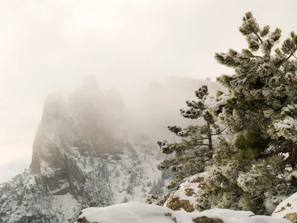 stock image Winter landscape