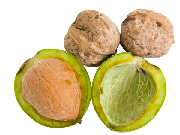 Fresh walnut — Stock Photo, Image