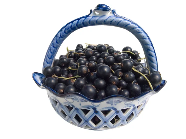 Berries of a black currant in a vase — Stock Photo, Image
