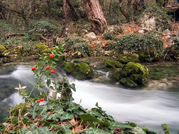 Cascate sul piccolo fiume di montagna — Foto Stock