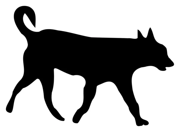 Silhouet van een hond — Stockfoto