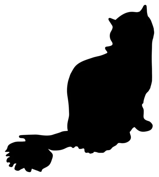 Silhouette of a cat — Stock Photo, Image