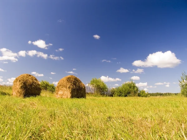 Пейзаж с стогами сена Лицензионные Стоковые Фото