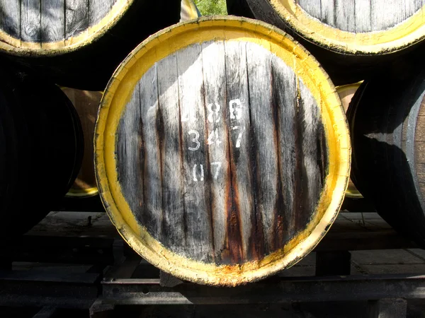 Oak wine casks — Stock Photo, Image
