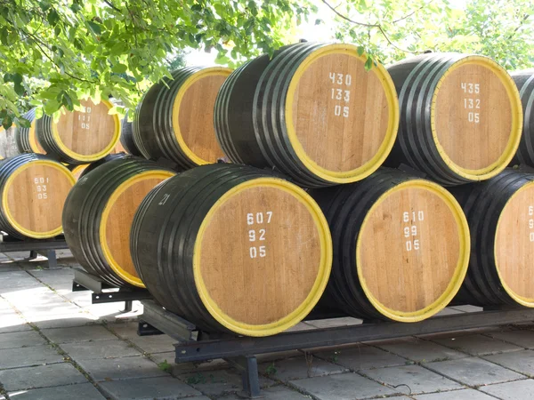 Stock image Oak wine casks