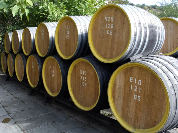 stock image Oak wine casks