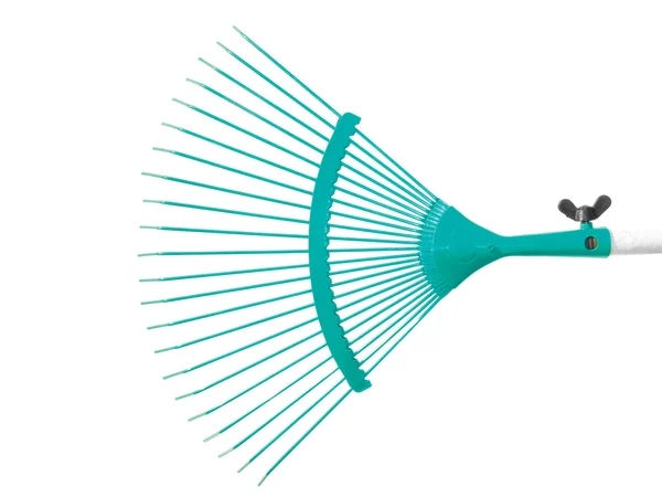 Turquoise raker — Stock Photo, Image
