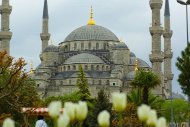 Blue Mosque, Istanbul clipart